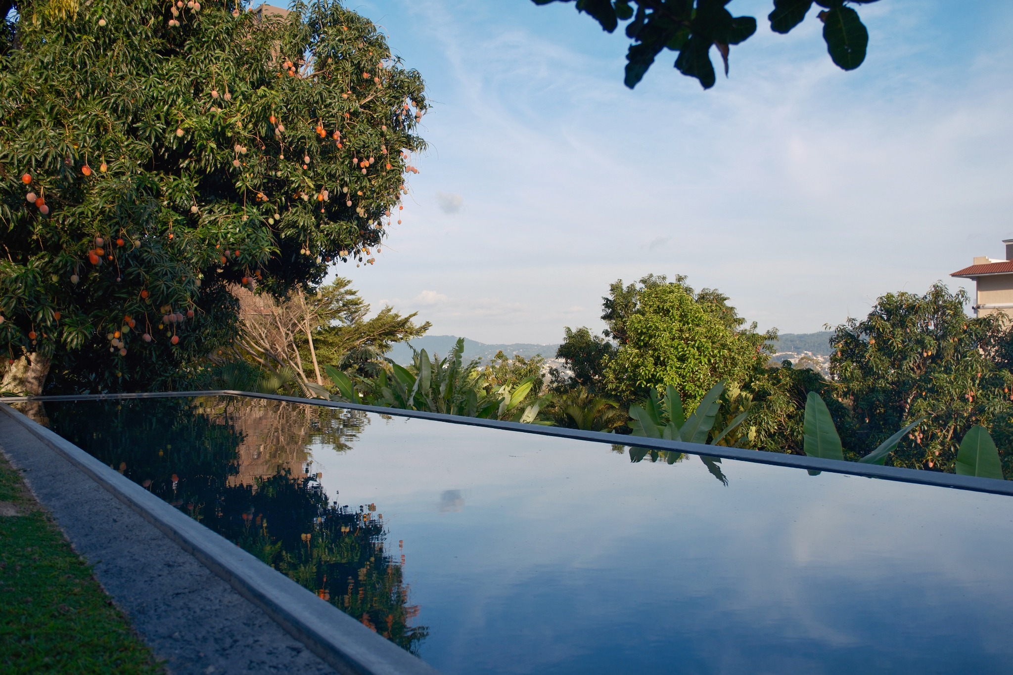 Vista verde desde una residencia en El Salvador